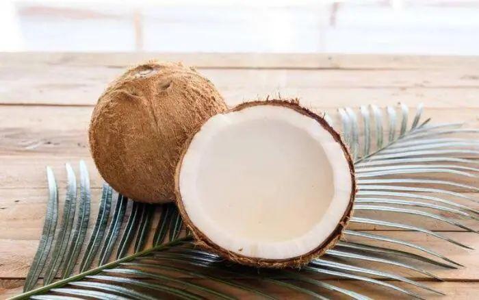 哪些人群不適宜食用椰子肉?